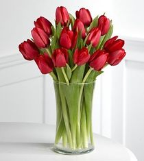Offer! Red tulips 25 / 19pcs